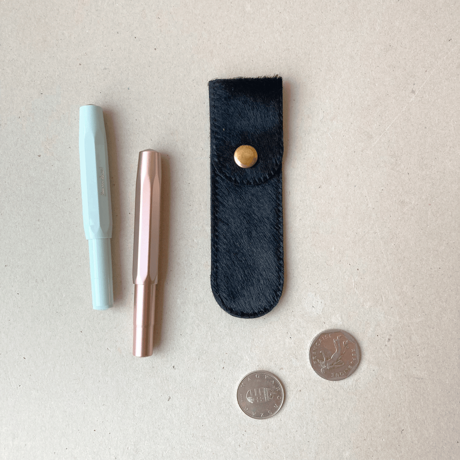 Etui à stylo