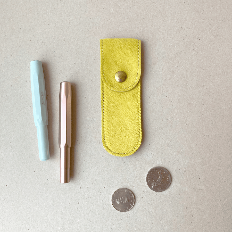 Etui à stylo